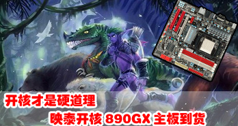 ˲Ӳӳ̩890GX嵽