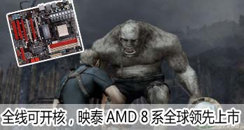 ȫ߿ɿˣӳ̩AMD 8ϵȫ