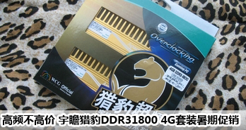 Ƶ߼ հԱDDR31800 4Gװڴ