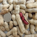 我家的商品