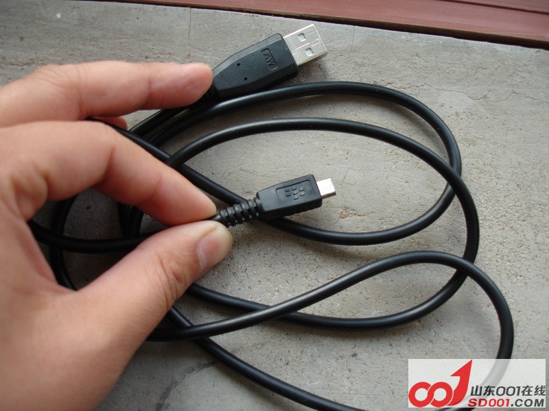 ��ݮ�������ߣ��������˵�ˣ�5Ԫ��