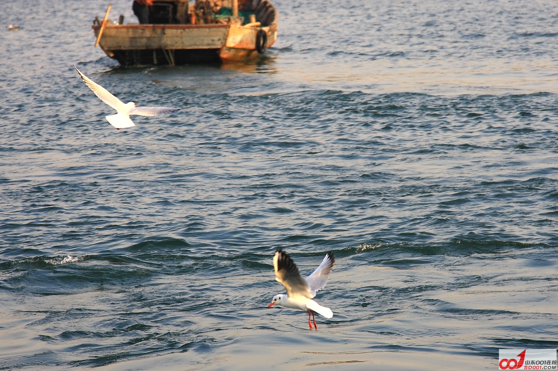 DPP_0049.JPG