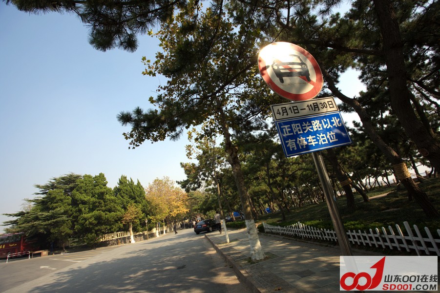 _MG_8424.jpg