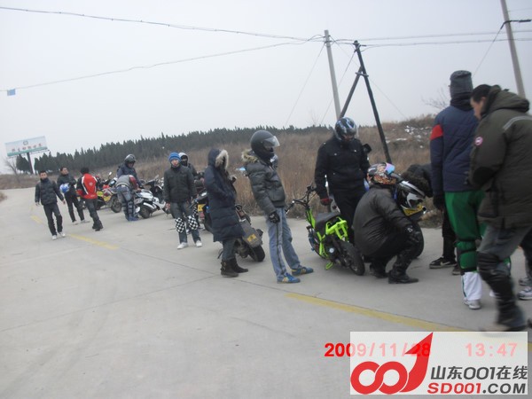 p_large_LACF_42f5000341762d0e.jpg