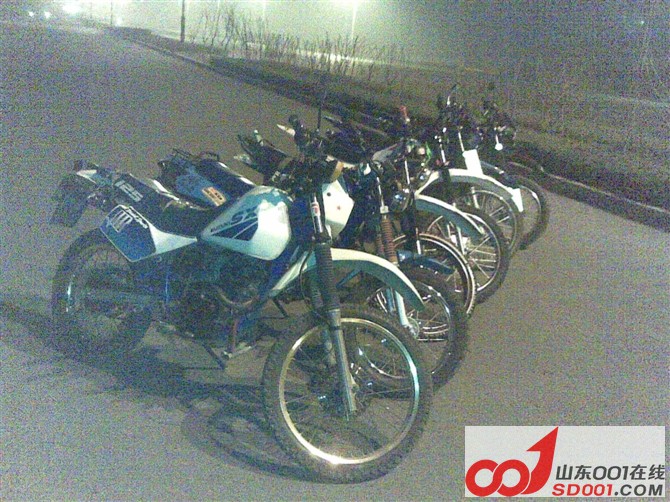psu6516515.jpg