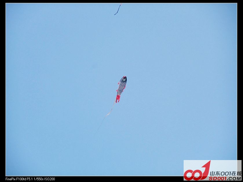 DSCF9510.jpg