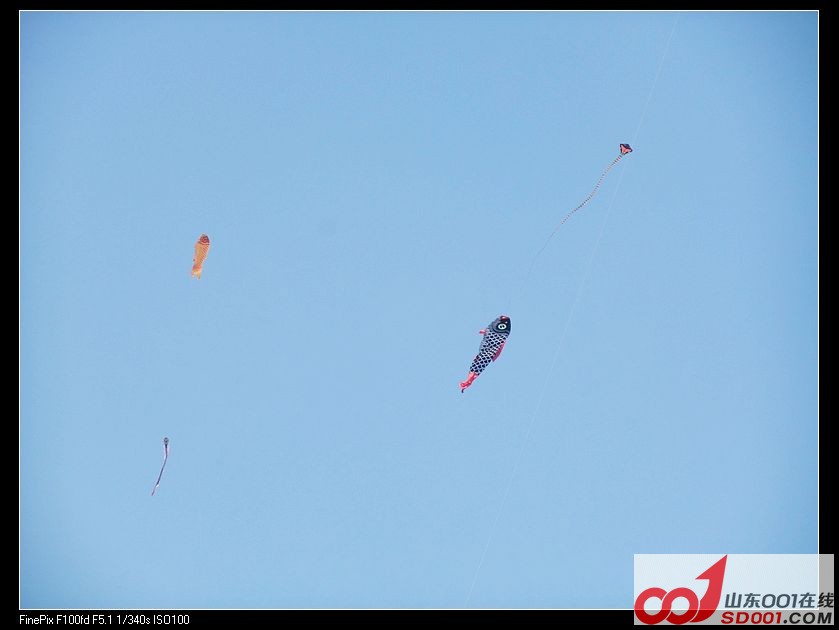 DSCF9524.jpg
