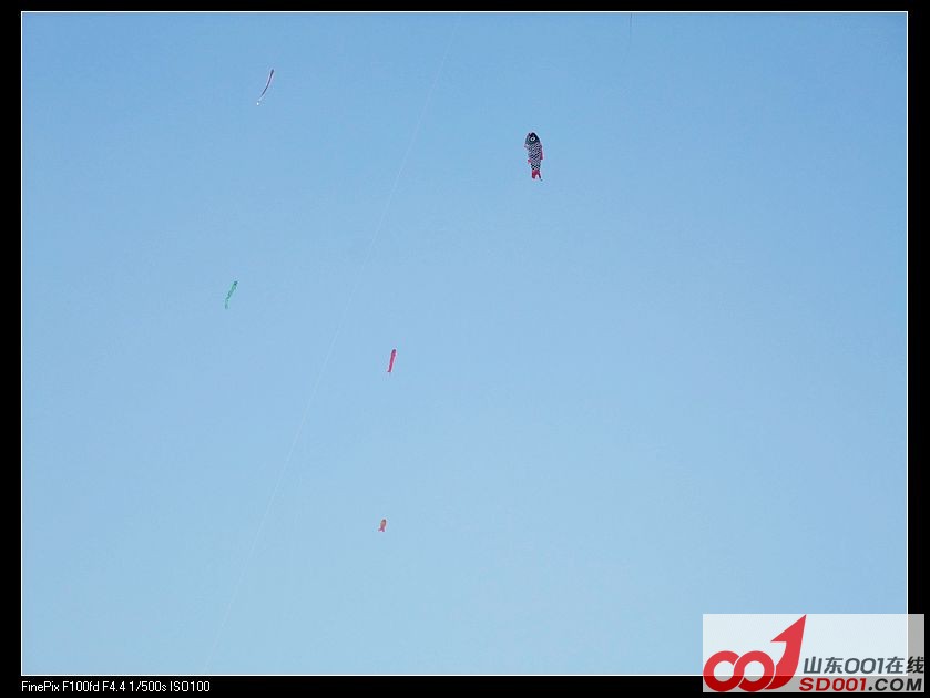 DSCF9525.jpg