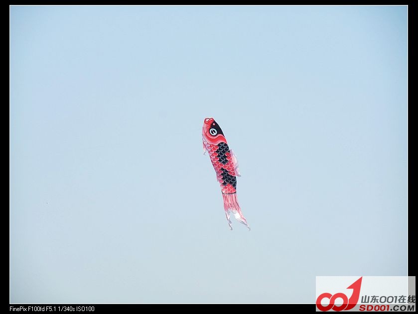 DSCF9529.jpg