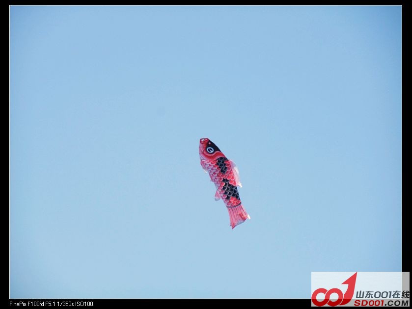 DSCF9532.jpg