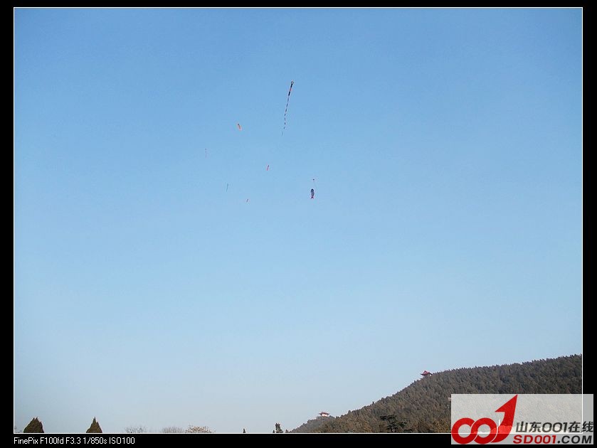 DSCF9514.jpg
