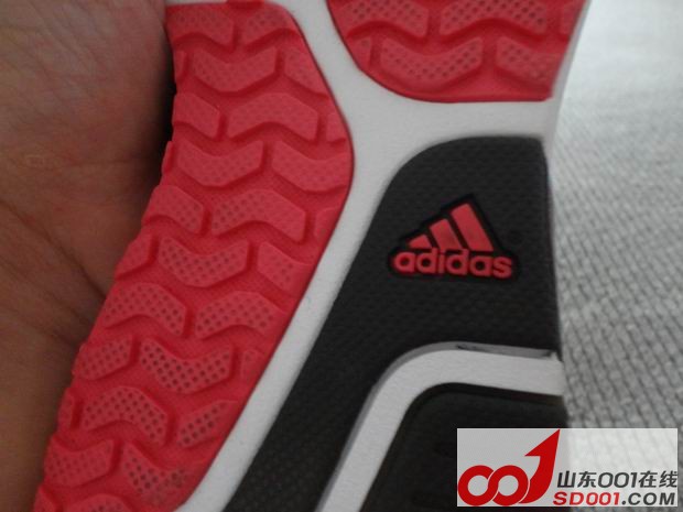 ������С DSC01387.JPG