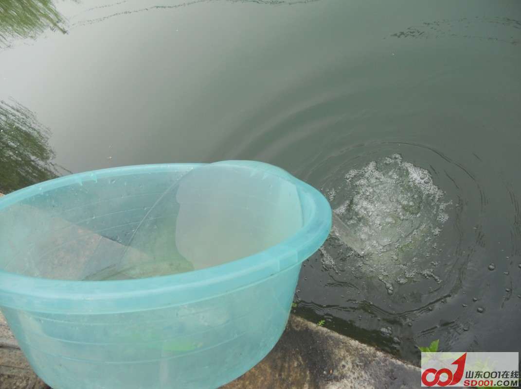 放水.jpg
