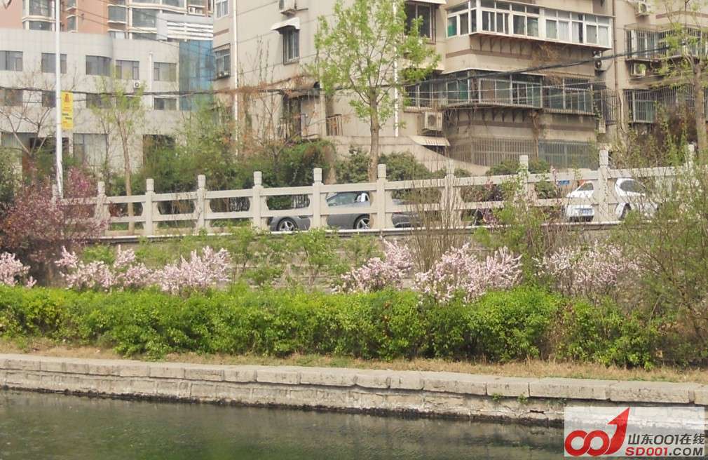 跑车.jpg