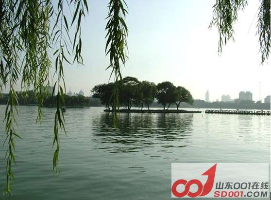 大明湖2.jpg