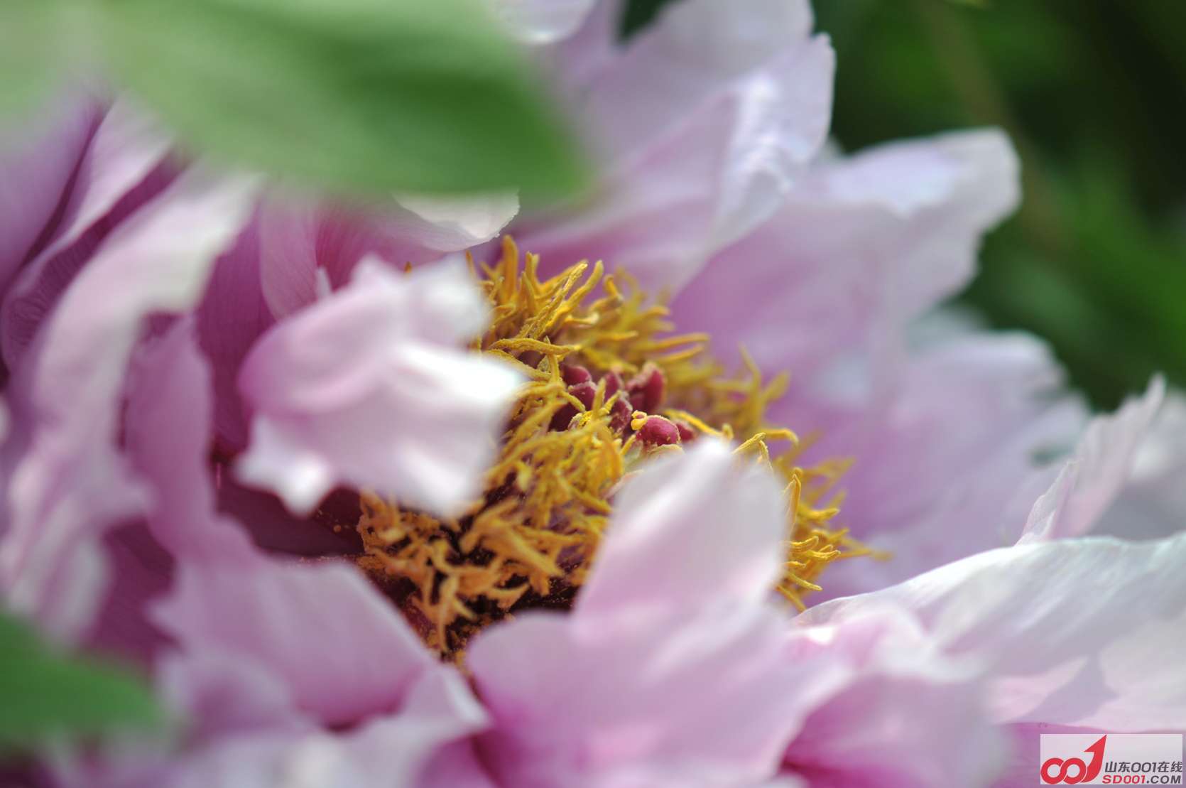 DSC_3771.jpg