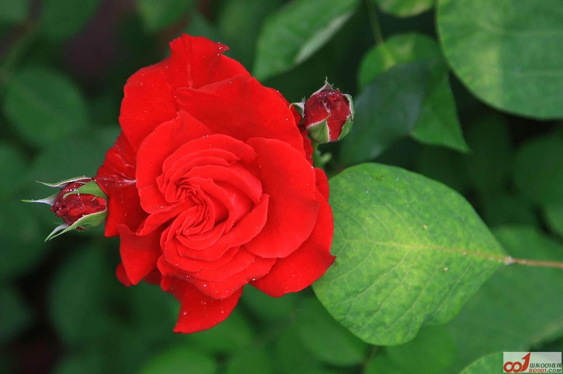 DPP_0113.jpg