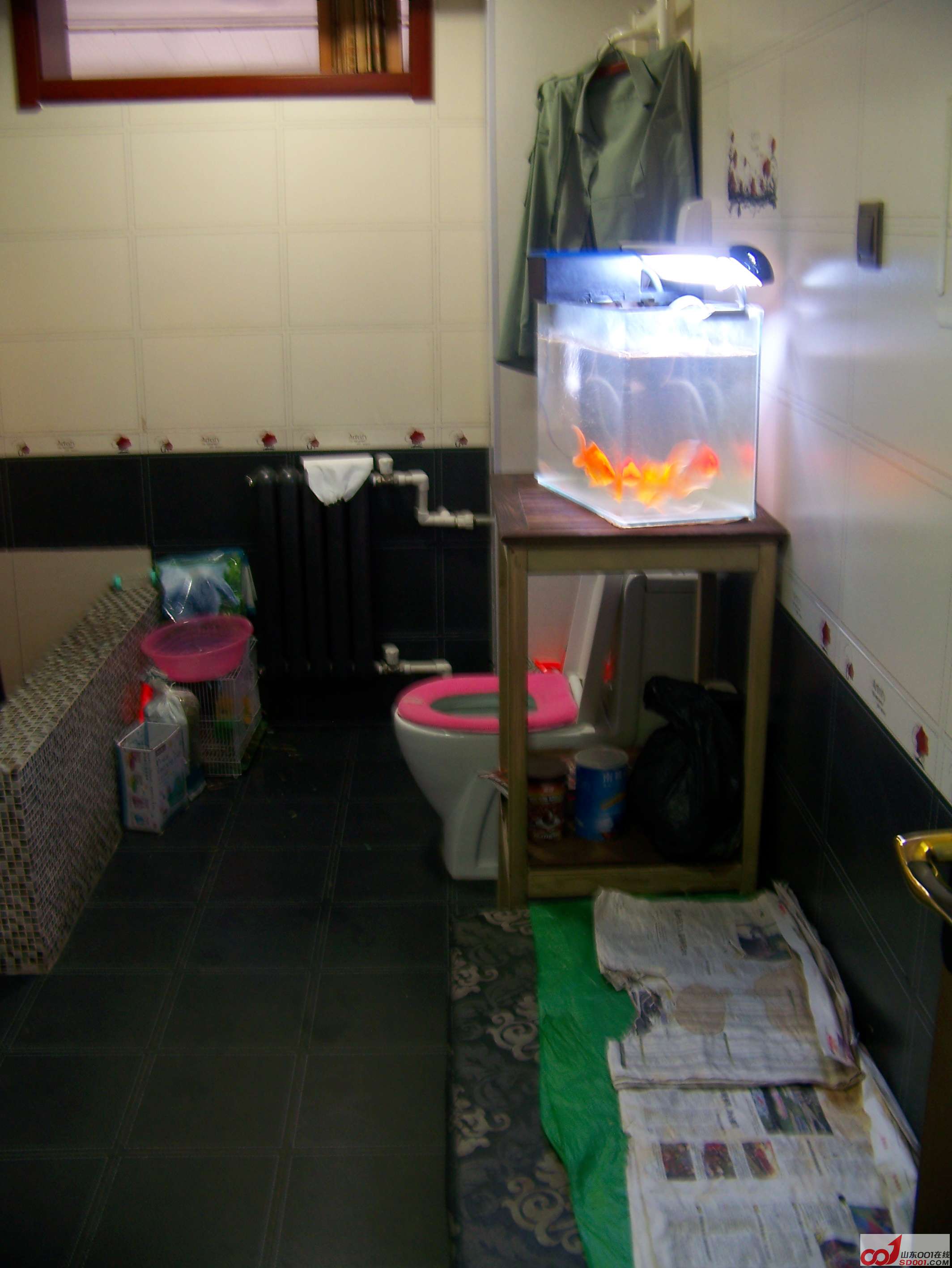 100_7068.JPG