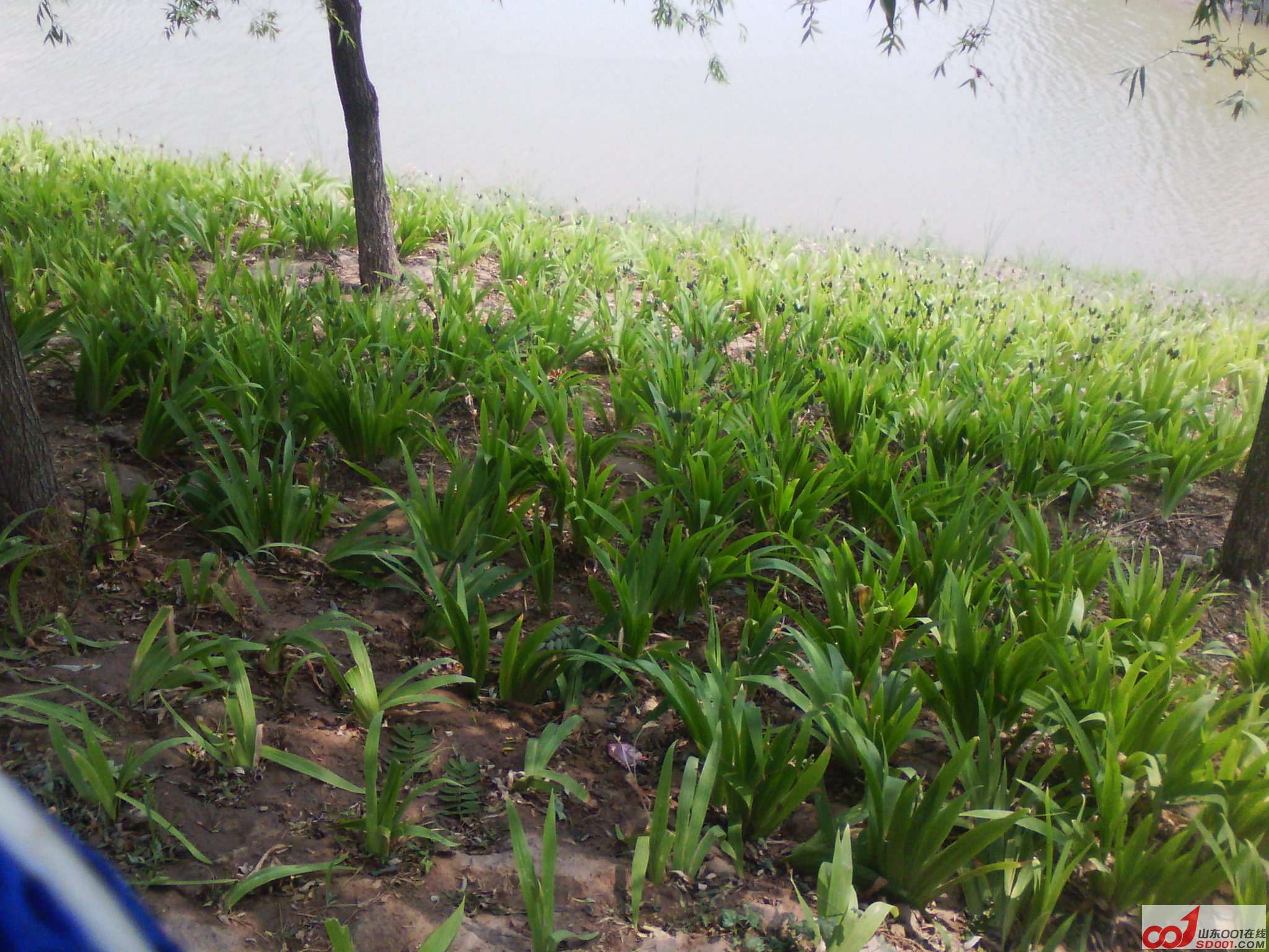 IMG_20120612_095206.jpg