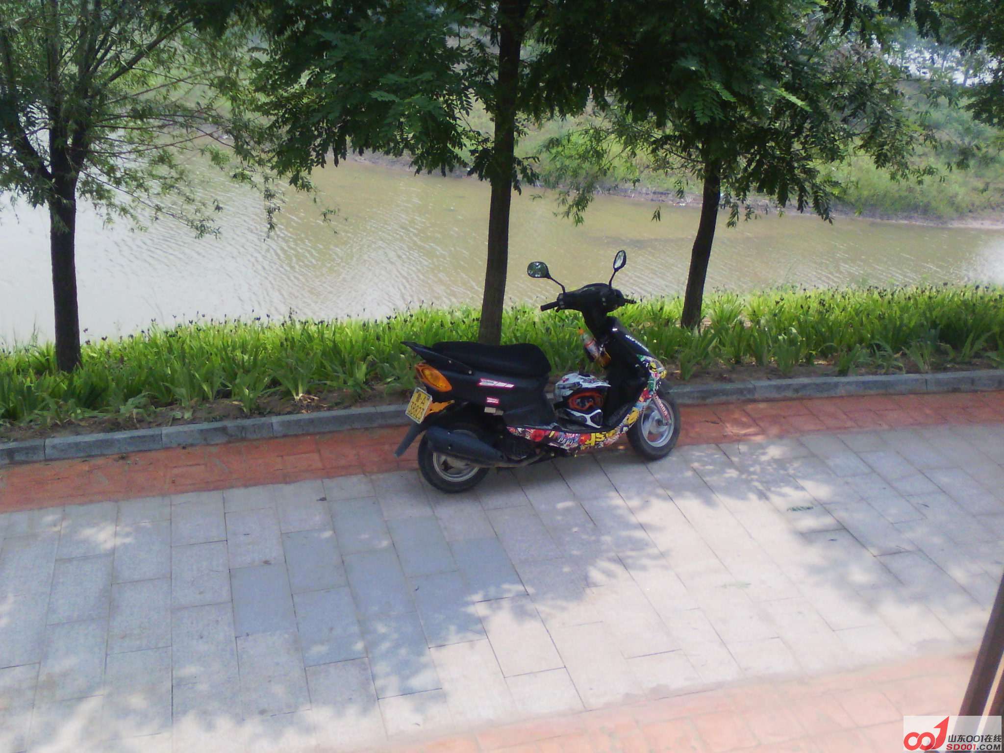 IMG_20120612_095237.jpg