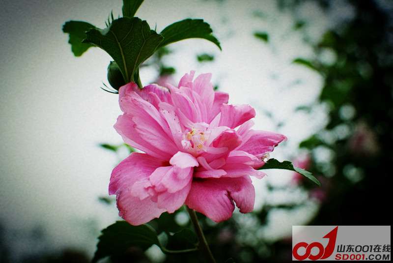 DSCF3561_.jpg