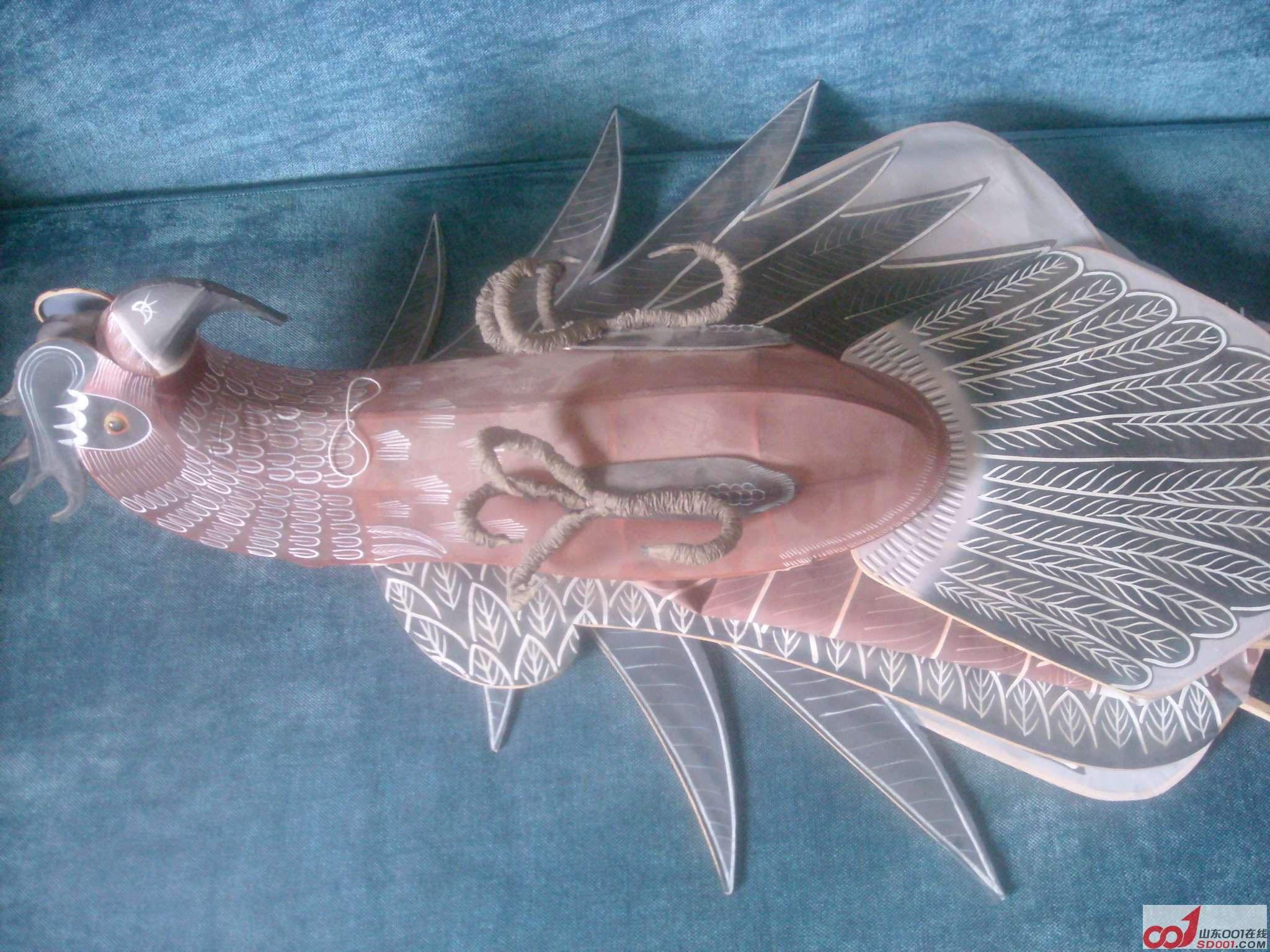 Ϋ������100