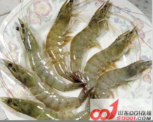 明虾.jpg