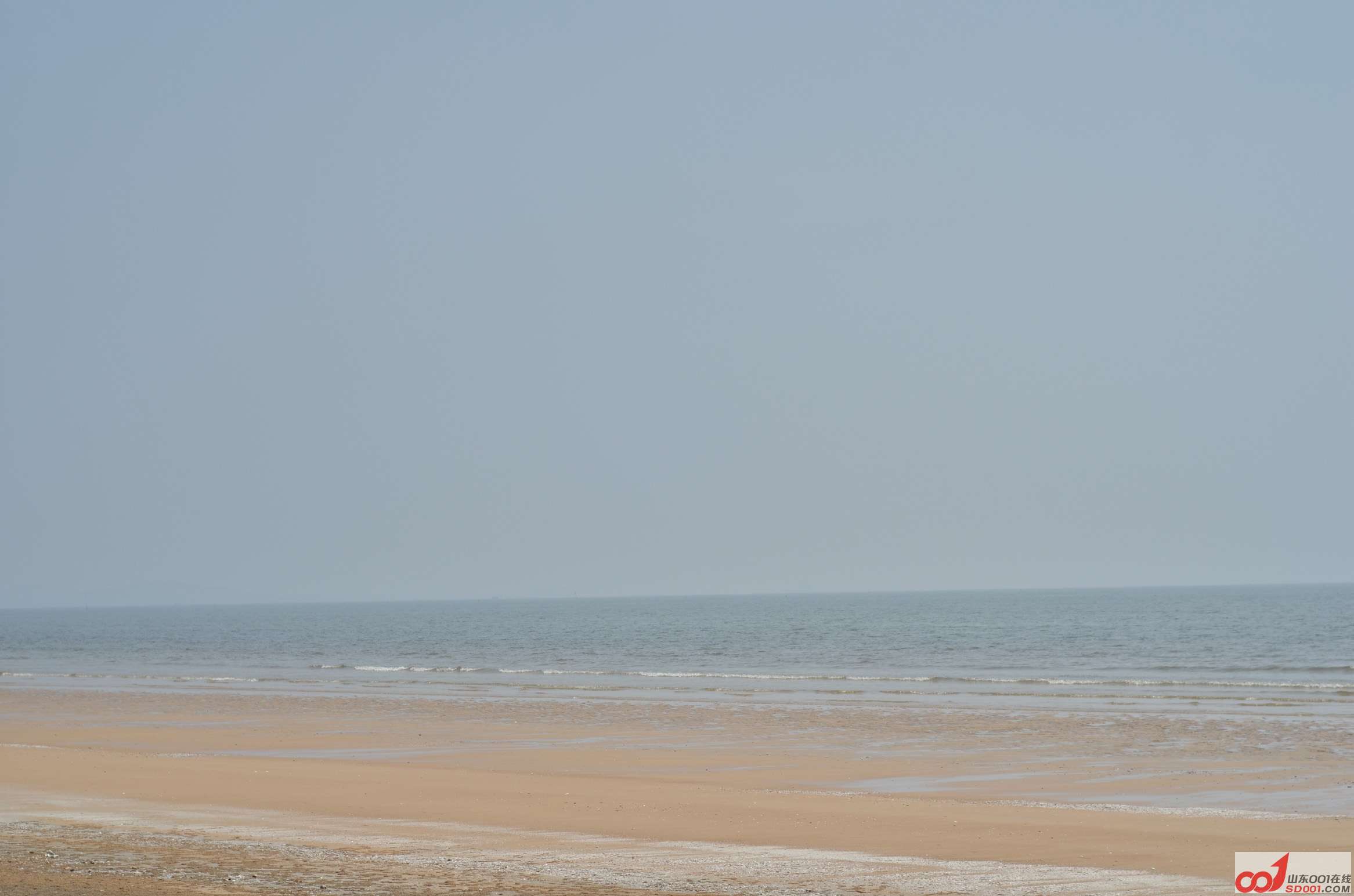 1DSC_2176.jpg