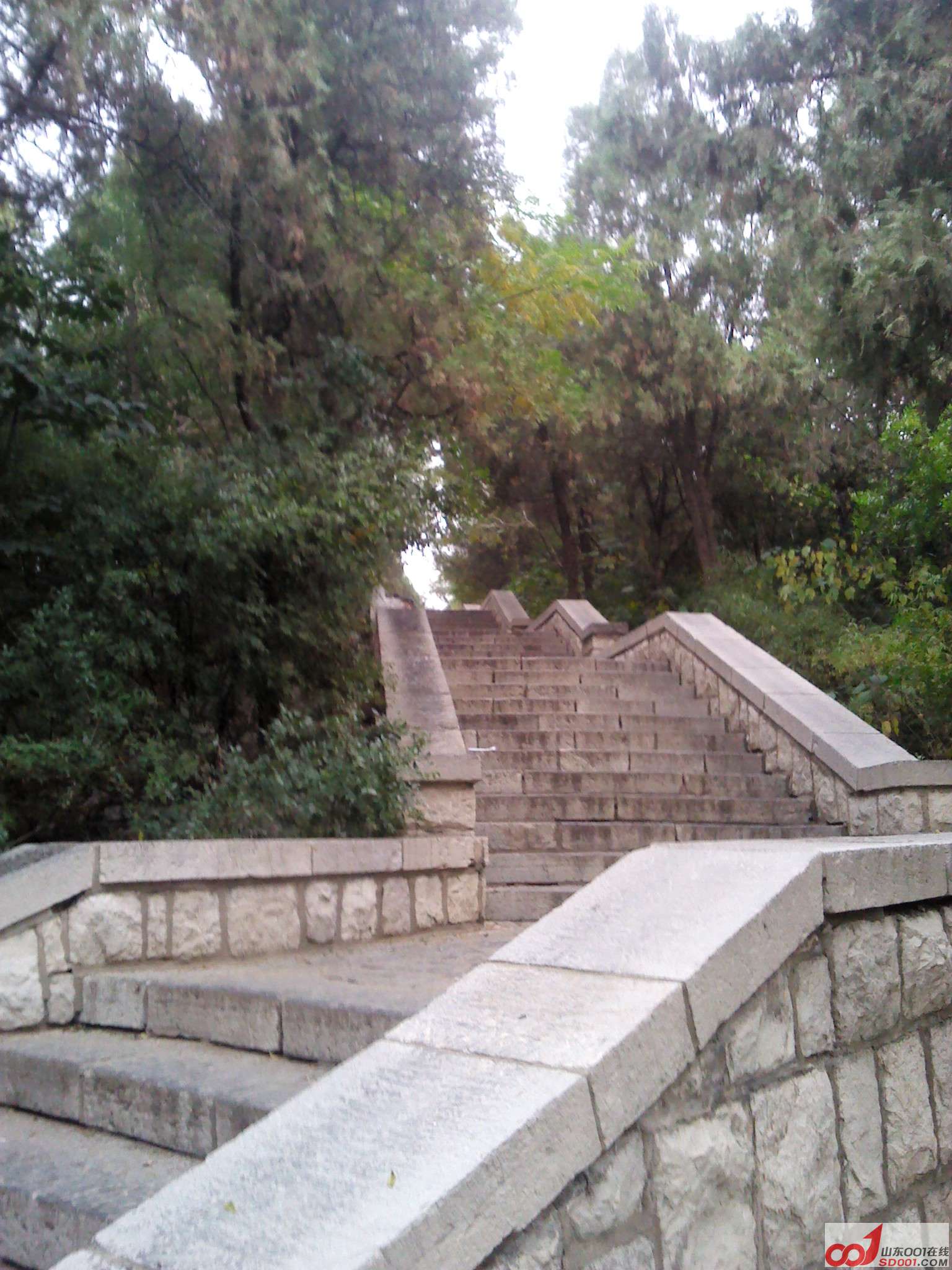 IMG_20121005_150419.jpg