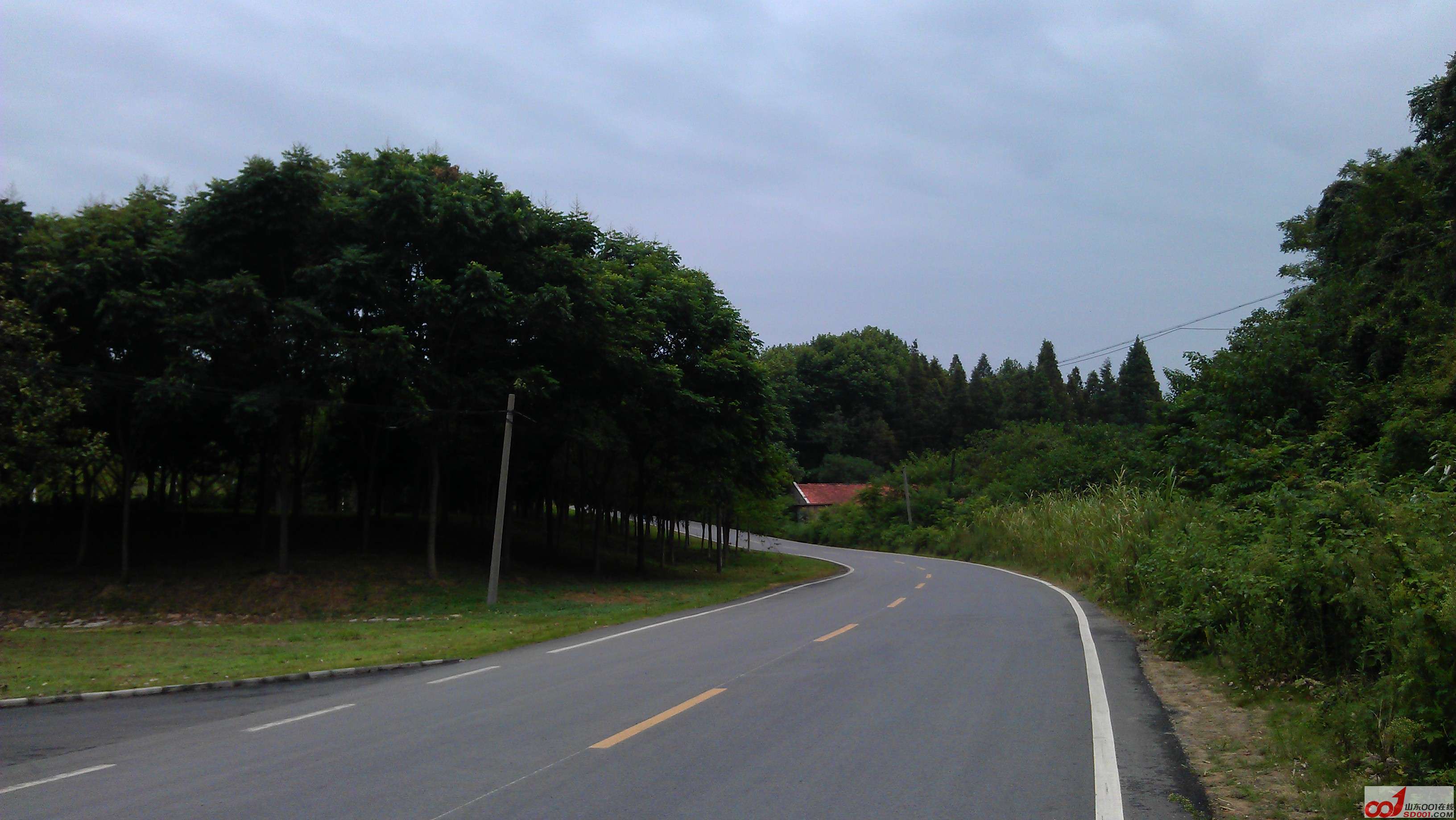 IMAG0934.jpg
