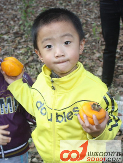 QQ截图20121030124942.png
