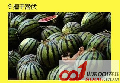 截图8.png