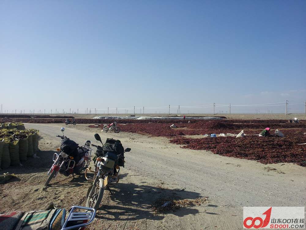 20121028_154605.jpg