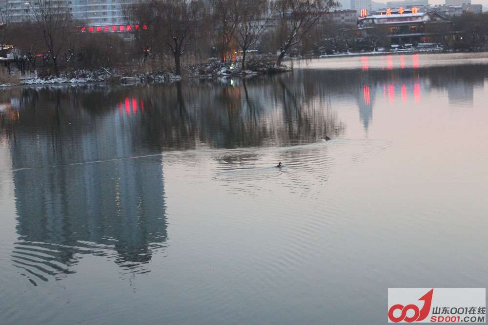 IMG_0011 ����.jpg