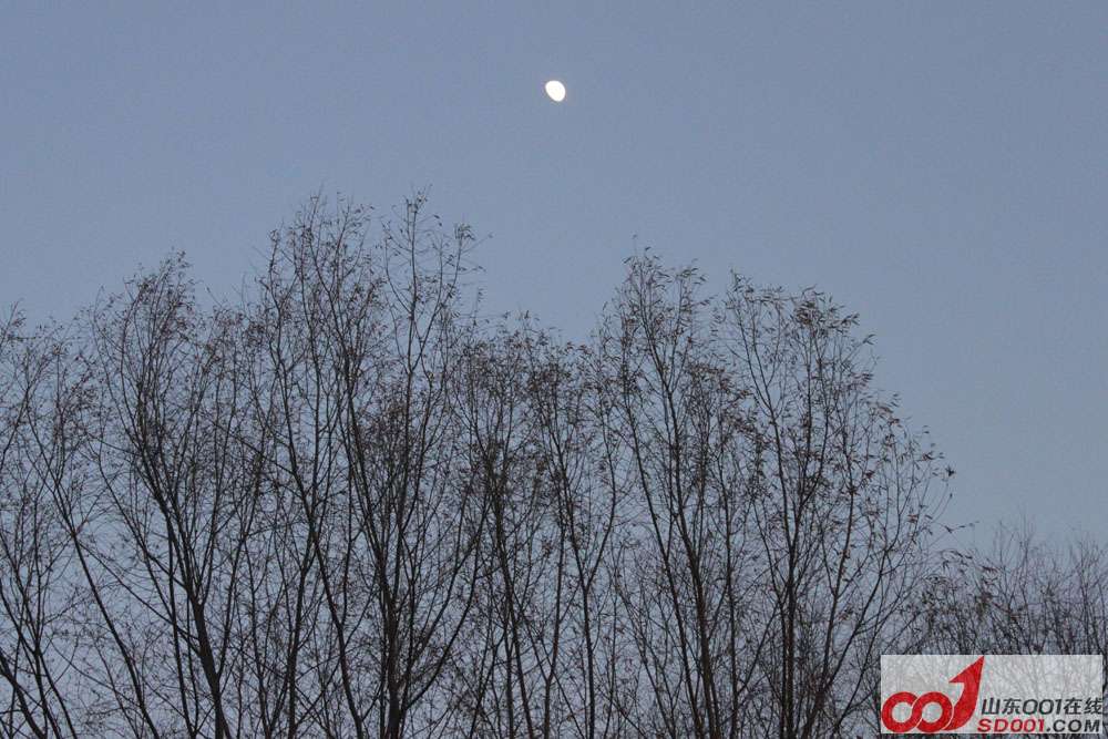 IMG_0018 ����.jpg