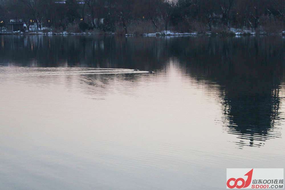 IMG_0013 ����.jpg