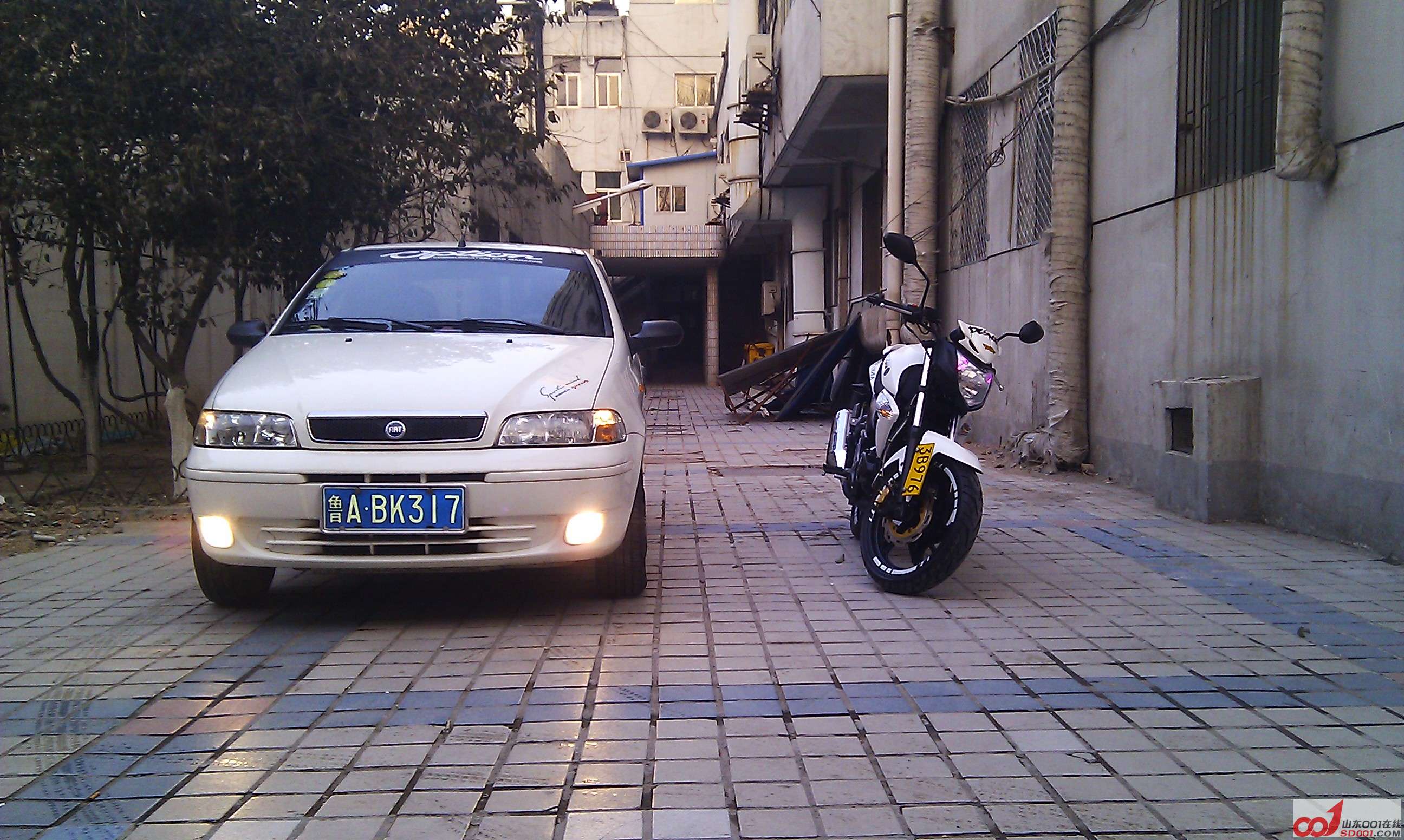 IMG_20130209_165100.jpg
