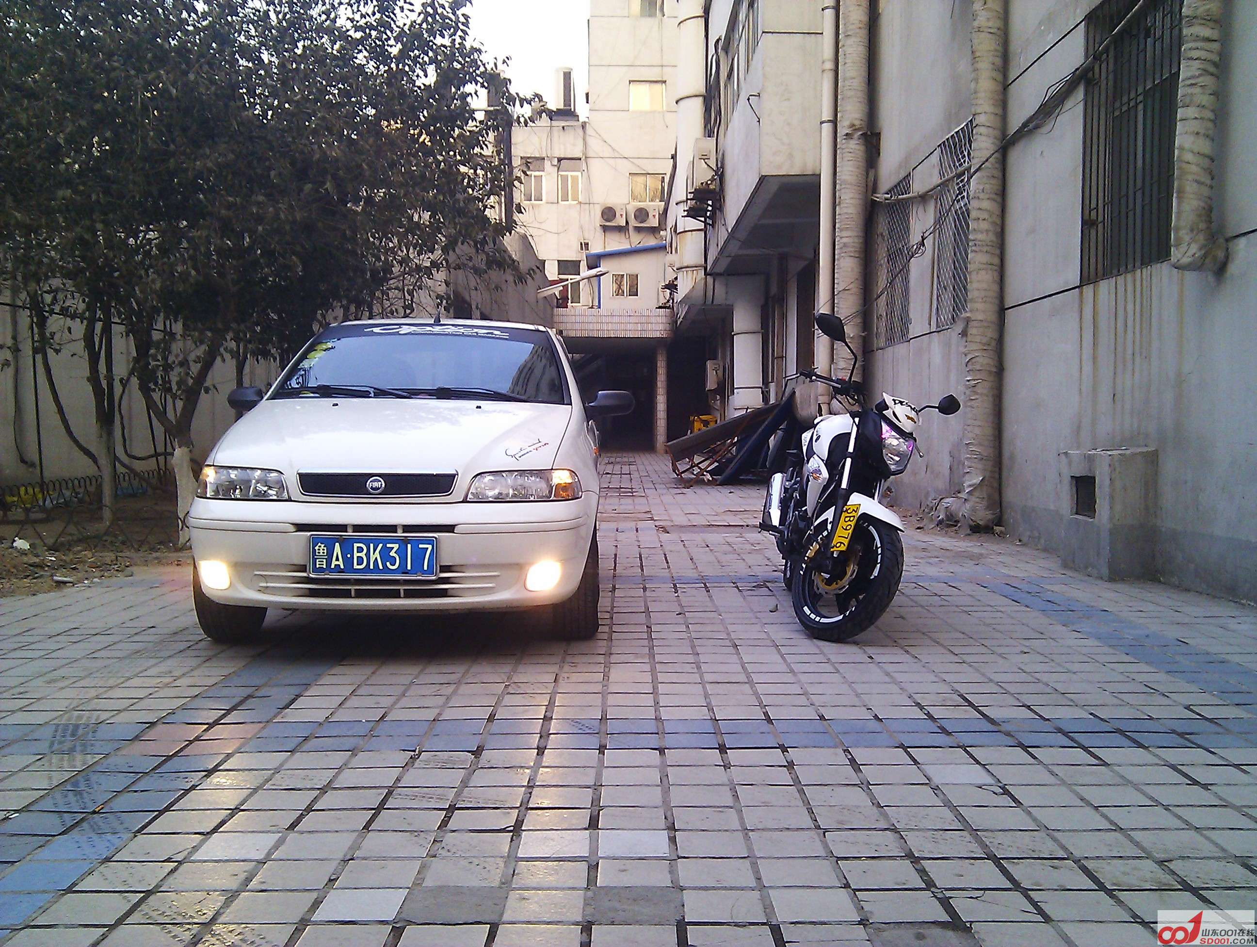 IMG_20130209_165146.jpg