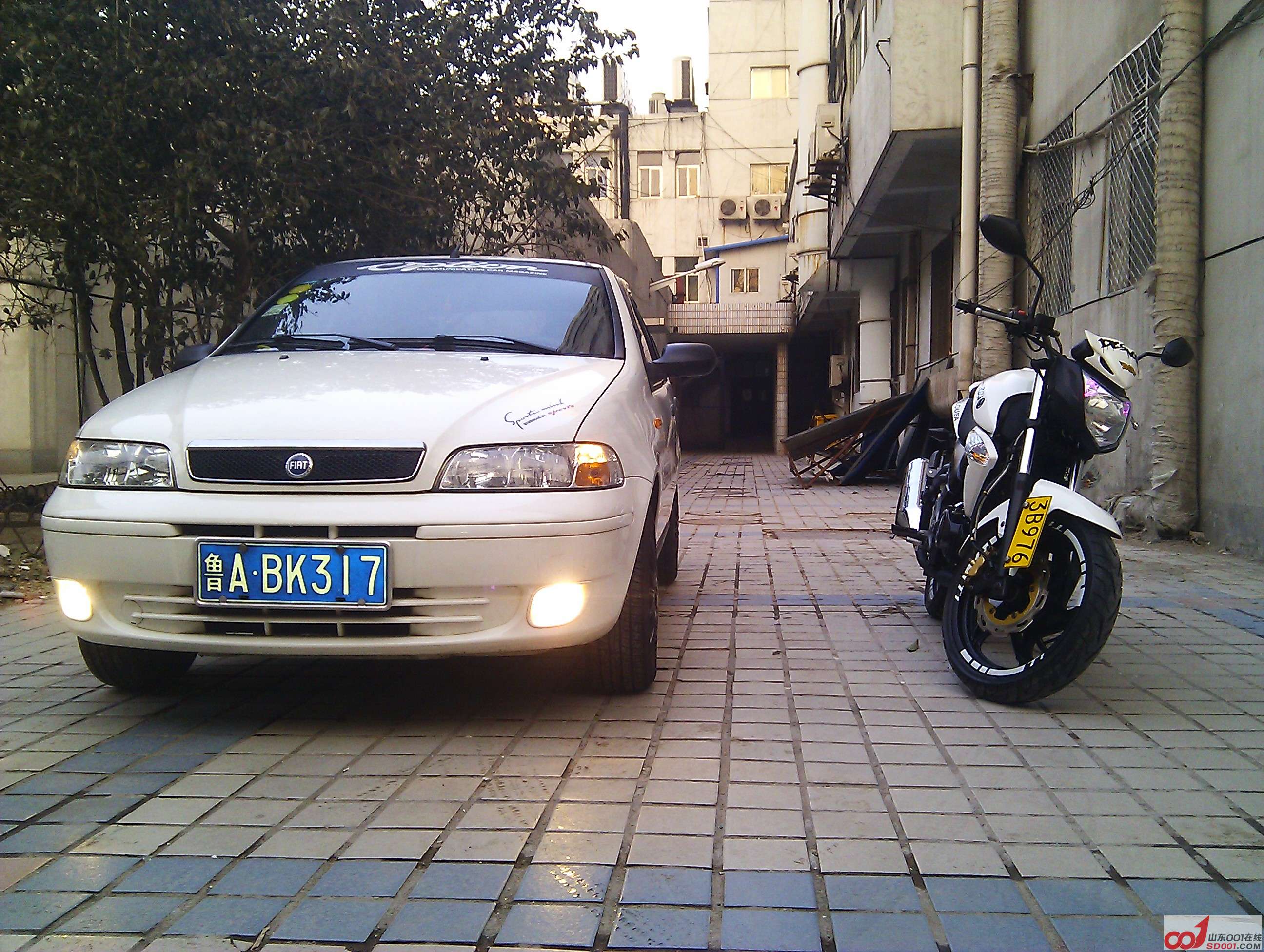 IMG_20130209_165154.jpg