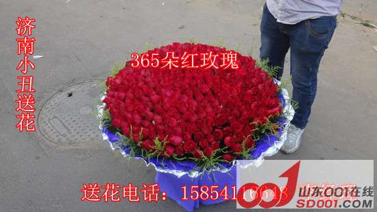 50008.jpg