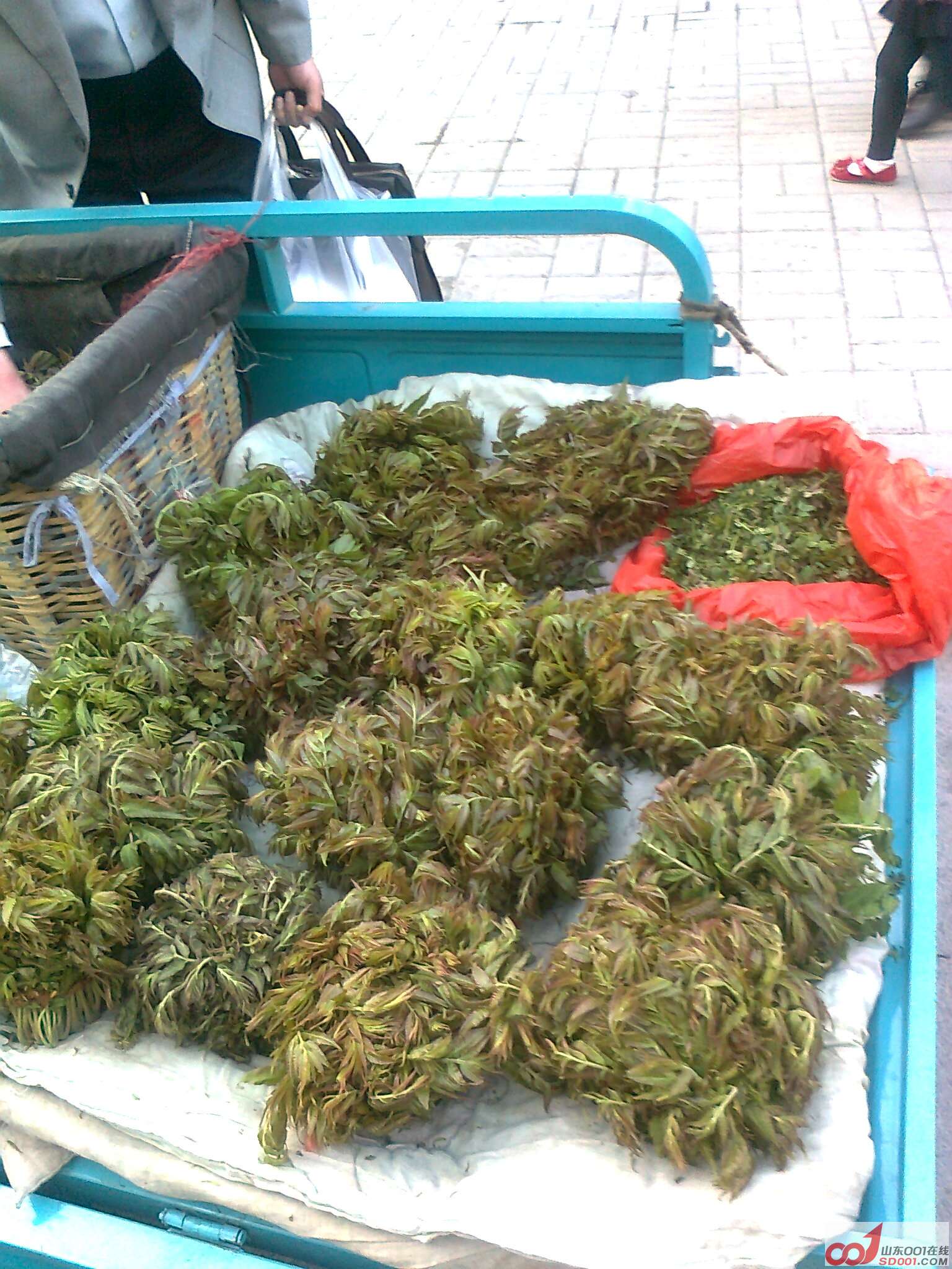 照片0784.jpg