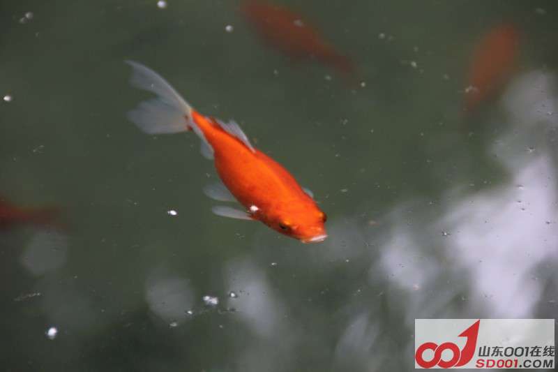 照片 011.jpg