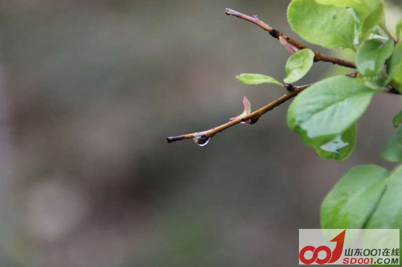 照片 007.jpg