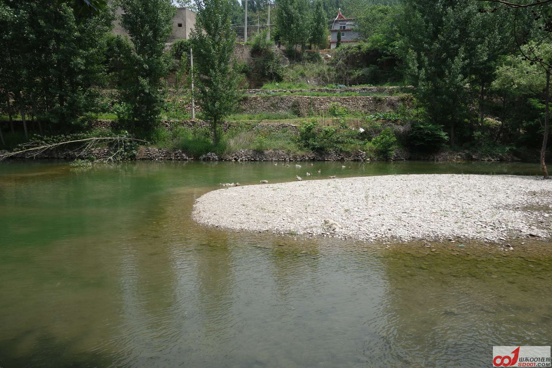 DSC00874.JPG