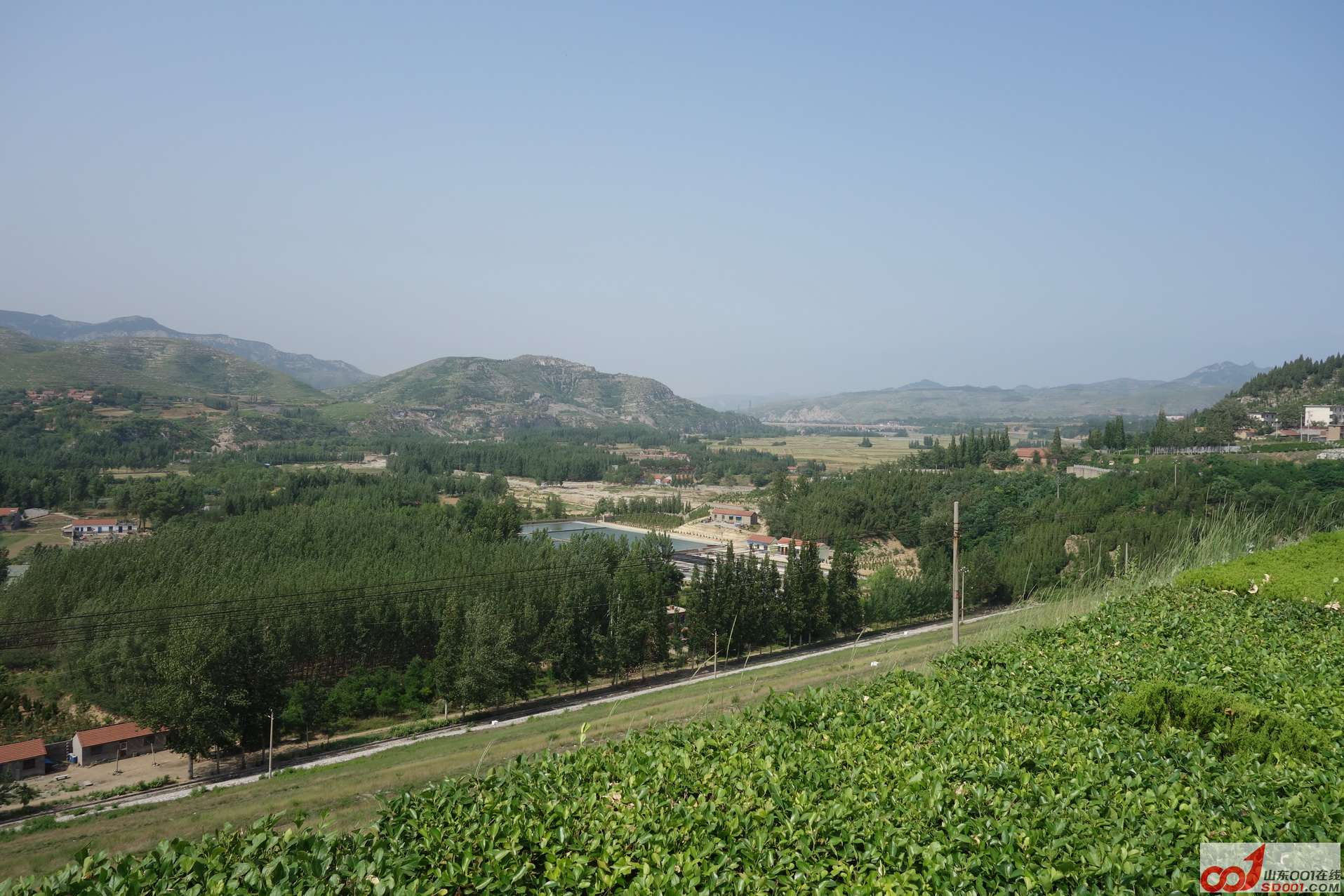 DSC00901.JPG