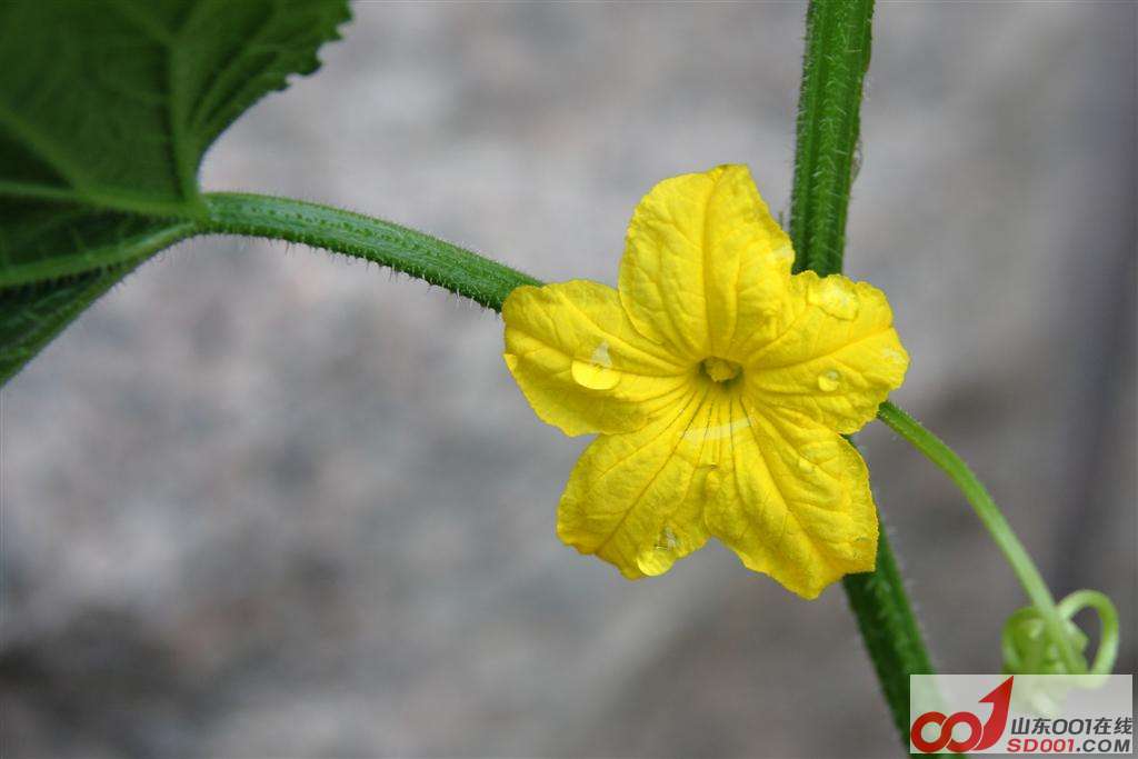 DPP_0022 ().JPG
