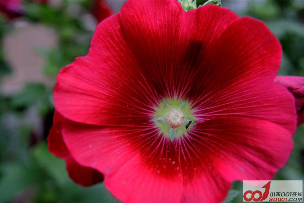DPP_0030 ().JPG