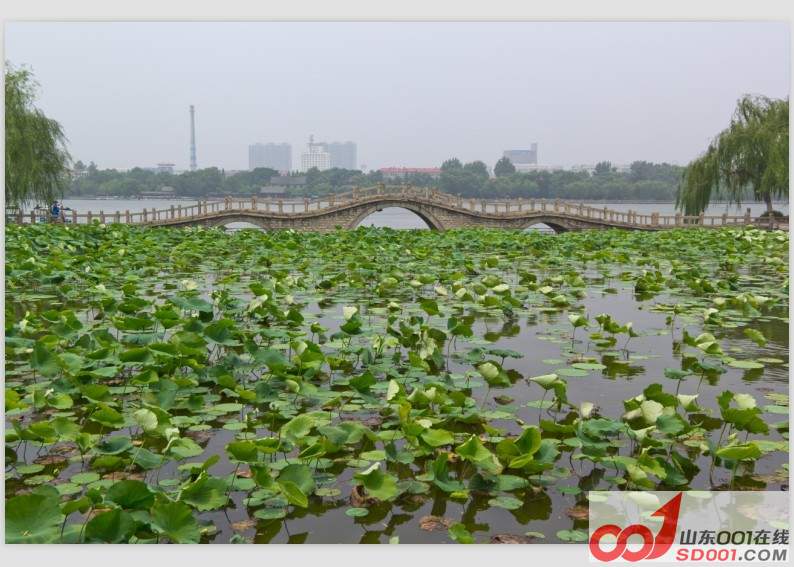 QQ图片20130704102331.jpg