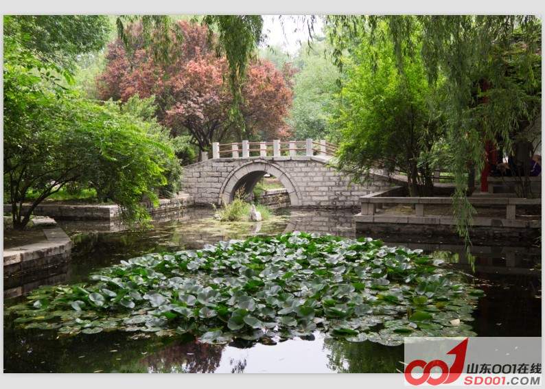 QQ图片20130704102338.jpg