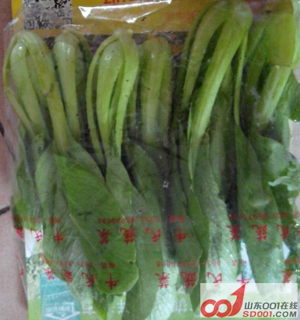 菠菜1.jpg